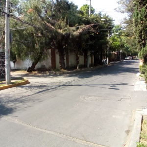 Local San Jerónimo